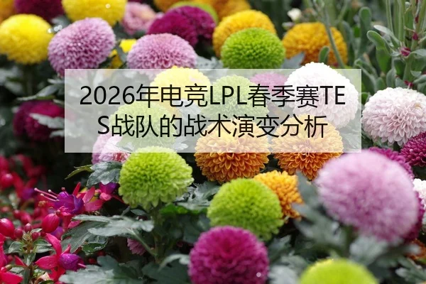 2026年电竞LPL春季赛TES战队的战术演变分析